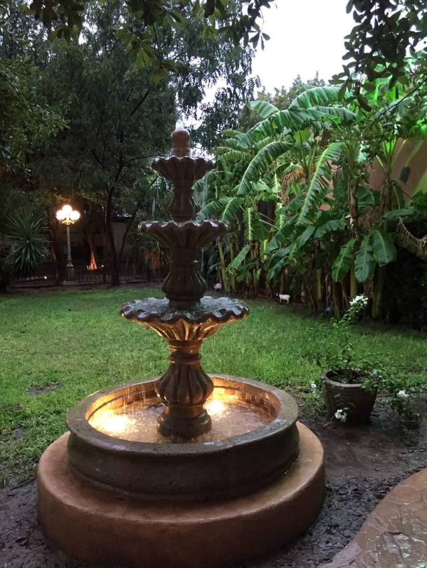 Restaurantes Patio de San Miguel. Cafeteria