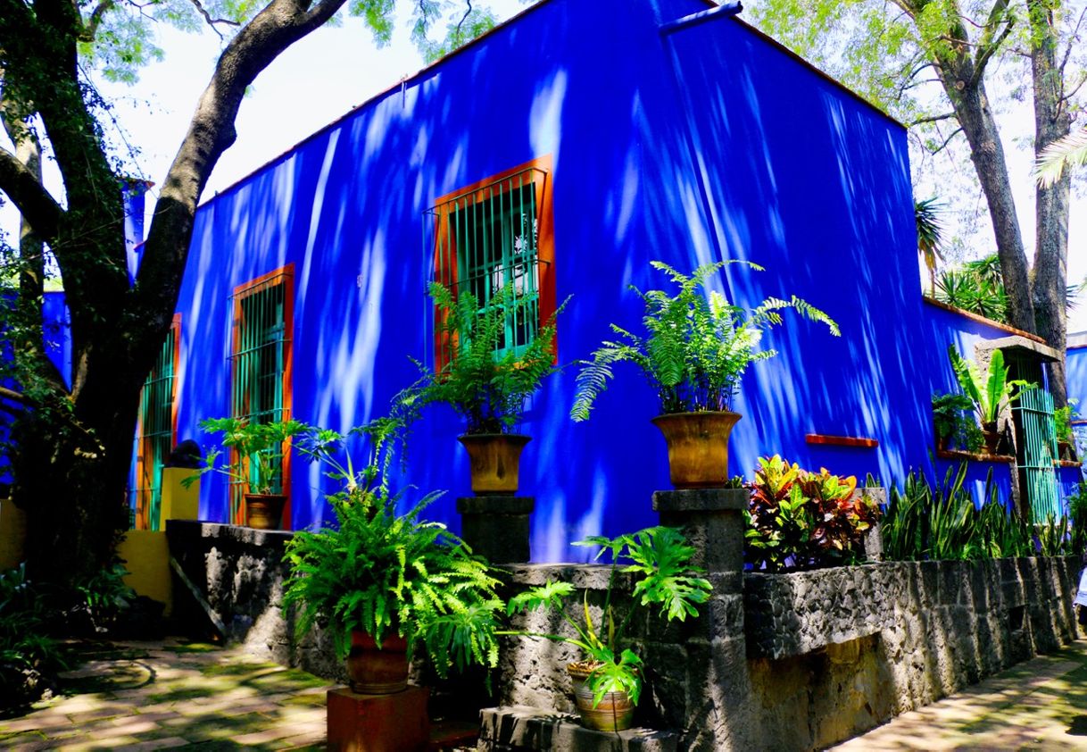 Lugar Museo Frida Kahlo