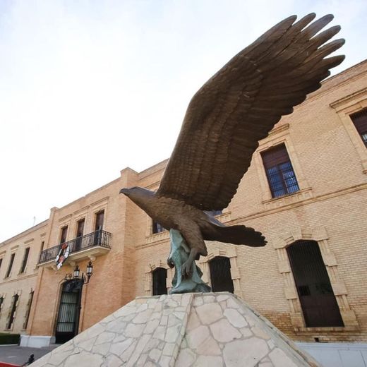 Museo De Las Aves