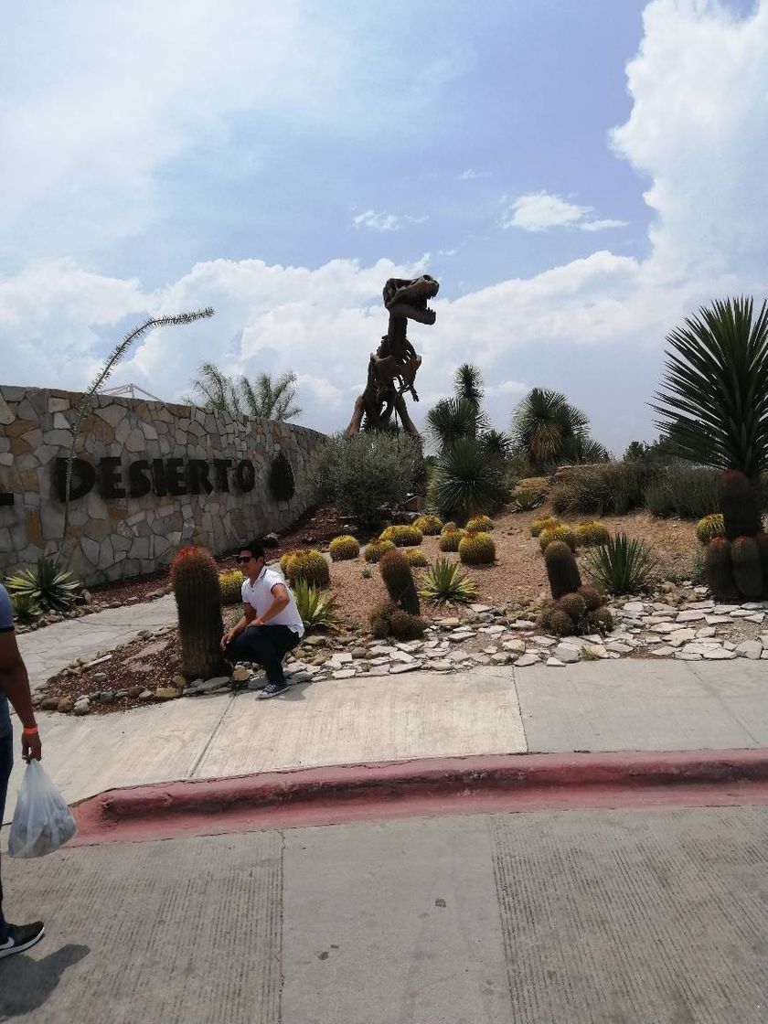 Lugar Boulevard Museo del Desierto