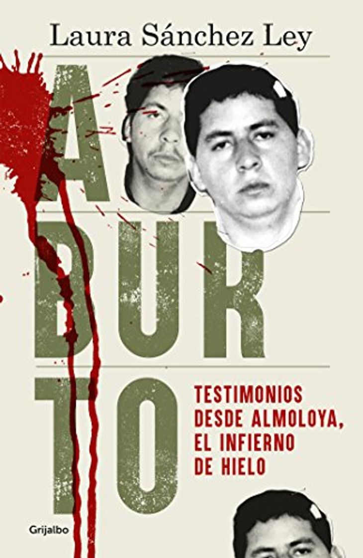 Book Aburto: Testimonios desde Almoloya, el infierno de hielo