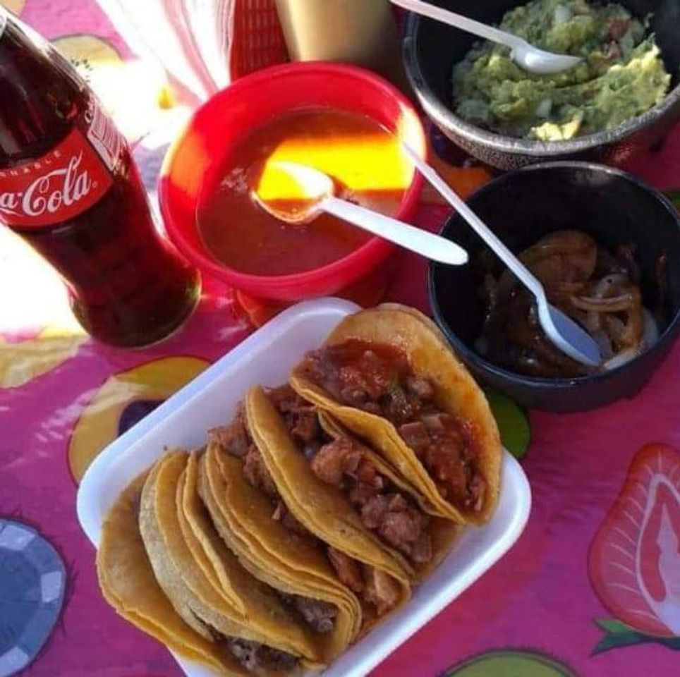 Restaurantes Tacos Fercho