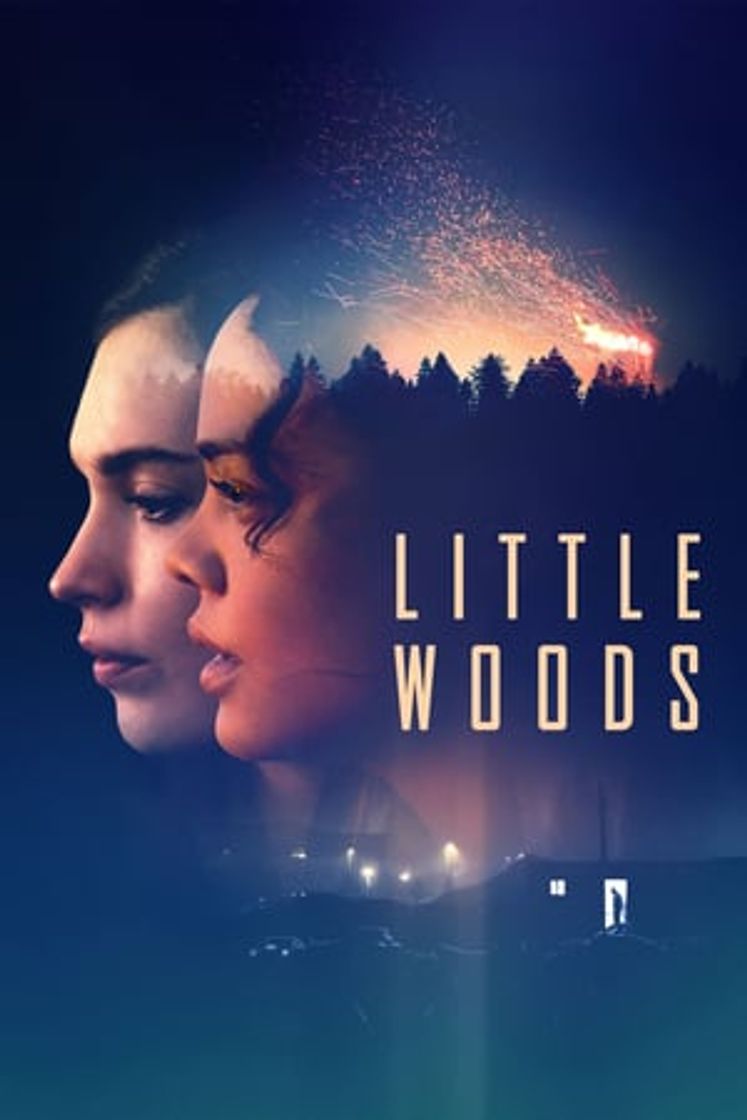 Movie Little Woods