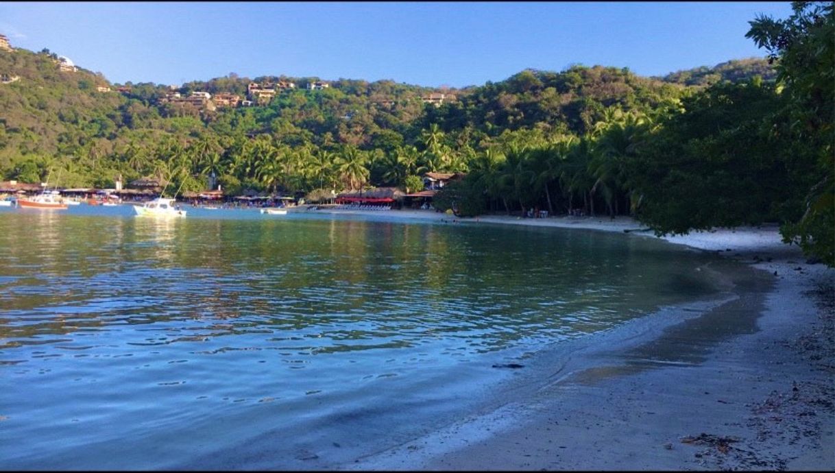 Place Playa Las Gatas