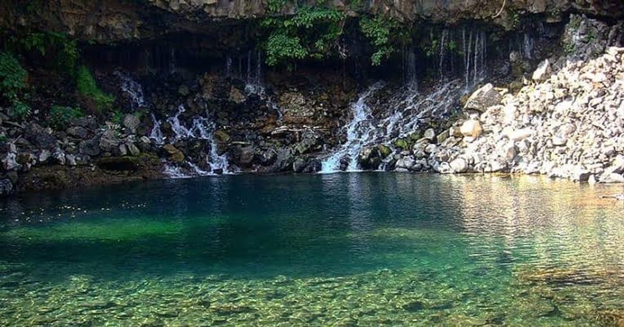 Place Balneario Ejidal El Bosque