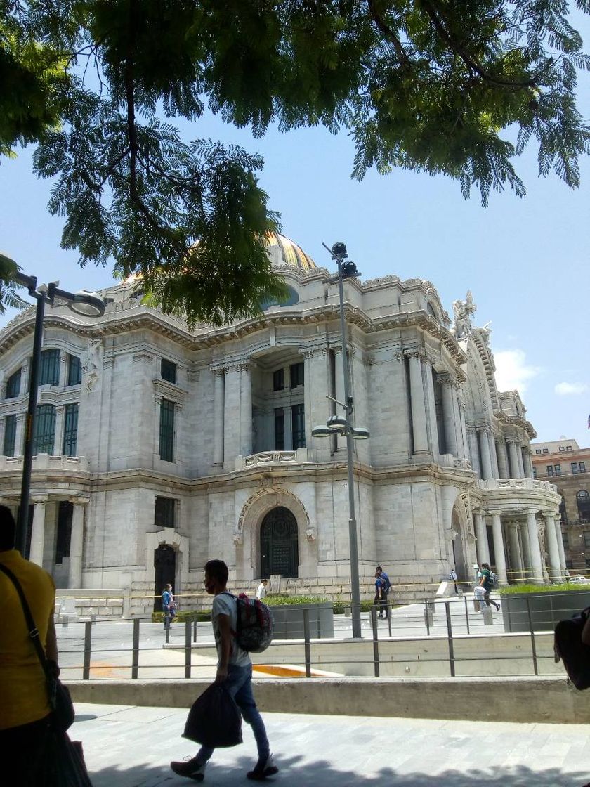 Lugar Palacio de Bellas Artes