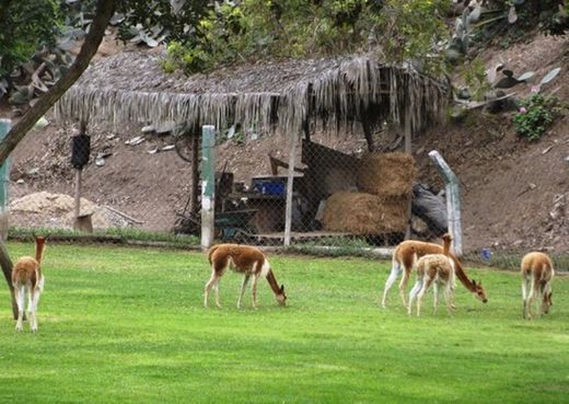 El Parque De Las Leyendas