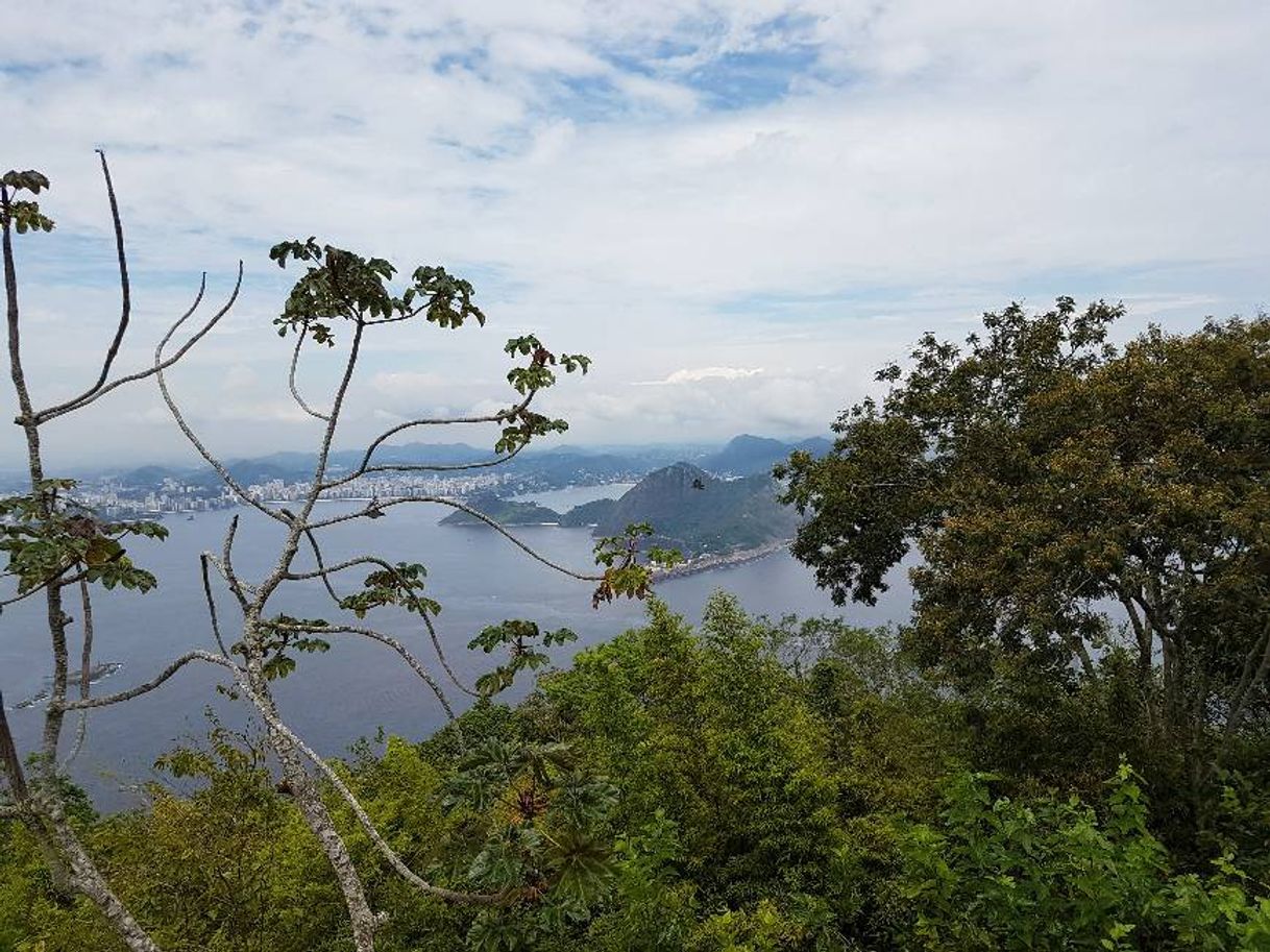 Place Rio de Janeiro