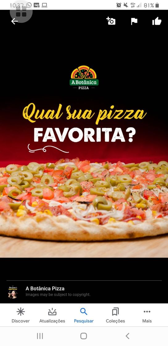 Restaurants A Botânica Pizza