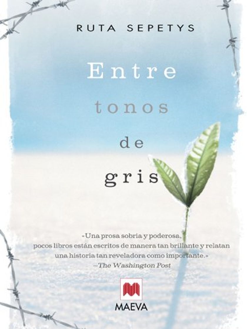 Book Entre tonos de gris: El conmovedor testimonio de una adolescente que quita