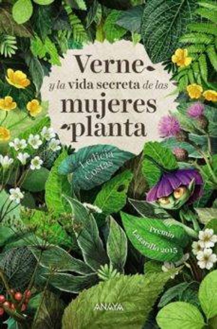 Libro Verne y la vida secreta de las mujeres planta 