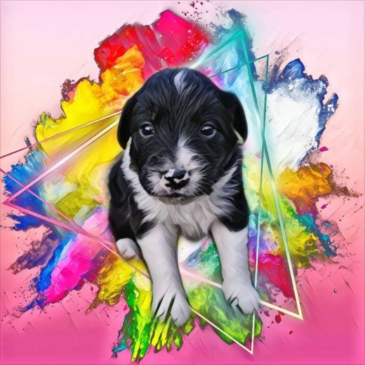 PicsArt Photo & Video Editor