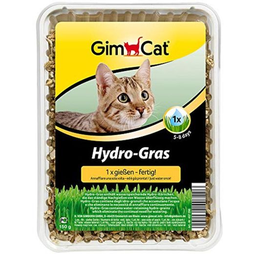 GimCat Hydro-Gras – Hierba para gatos de plantación controlada – De fácil