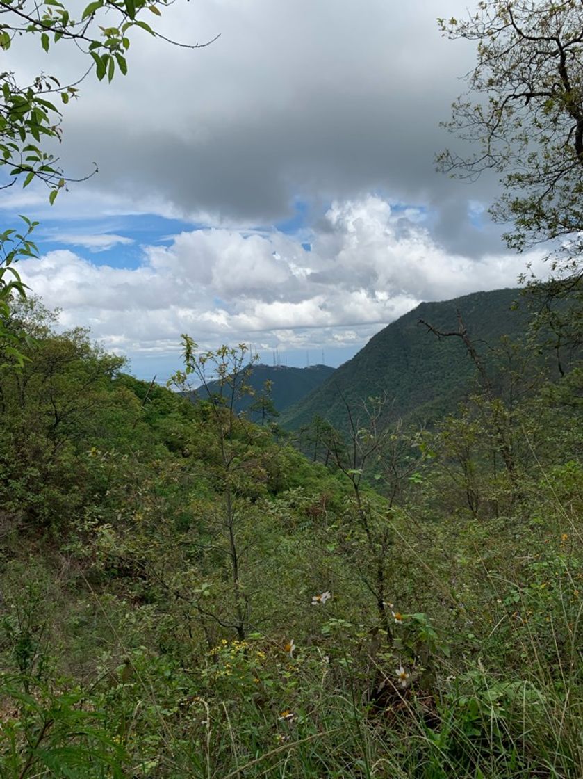 Place Cerro de Chipinque