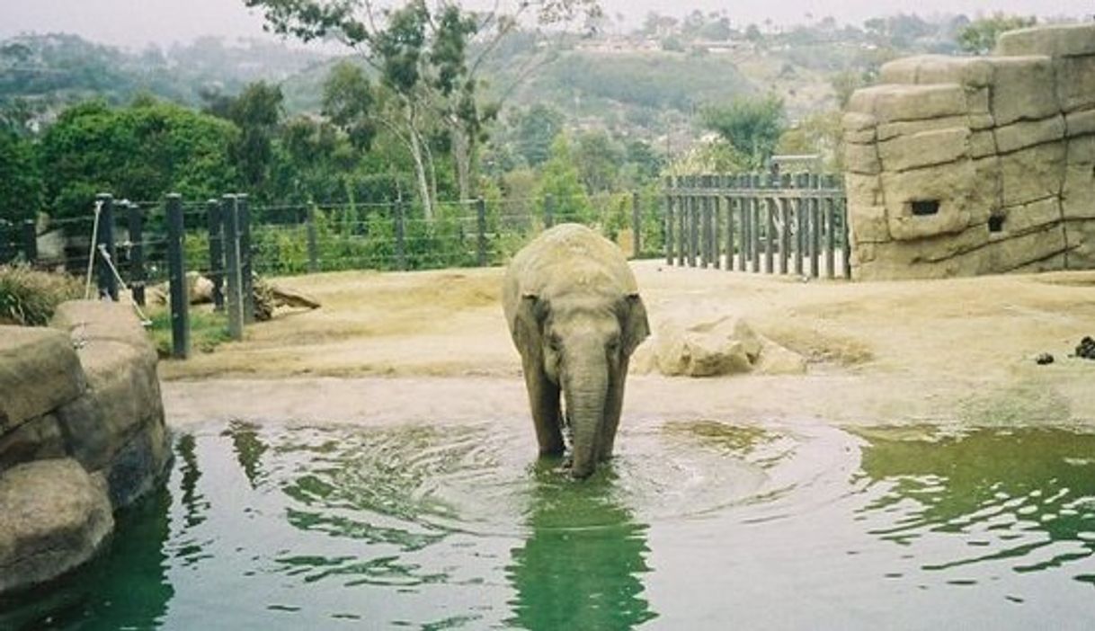 Lugares Santa Barbara Zoo