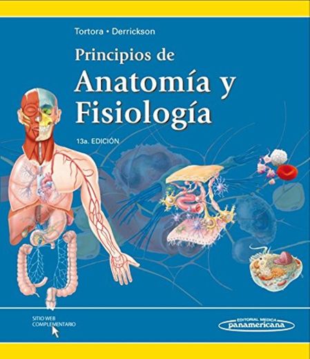 Principios De Anatomía Y Fisiología