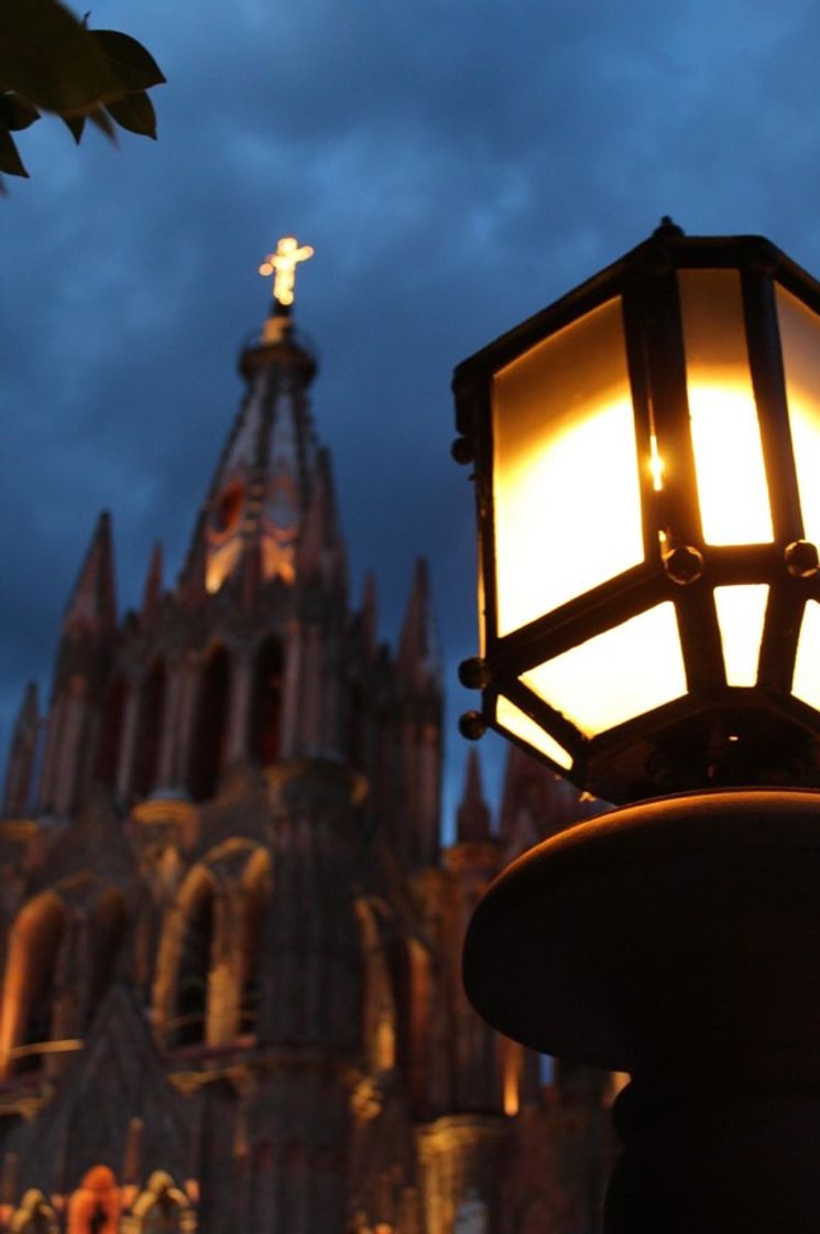 Place San Miguel de Allende