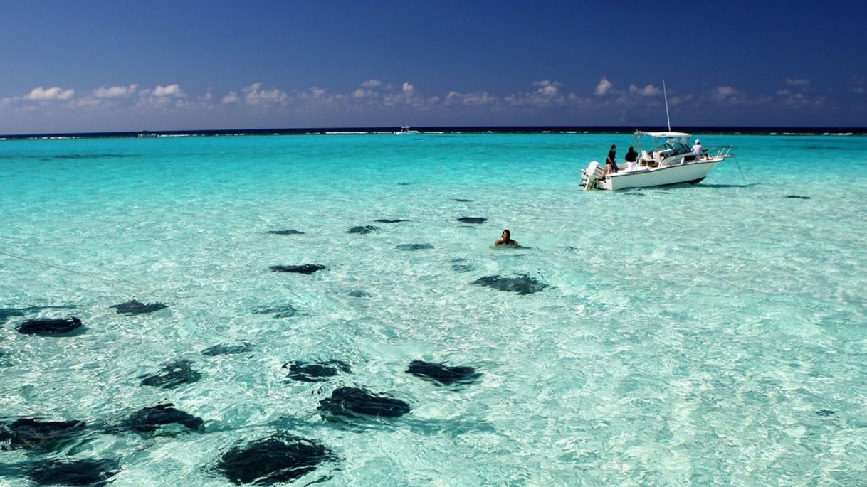 Lugar Islas Caimán