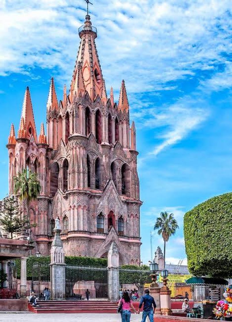 Place San Miguel de Allende