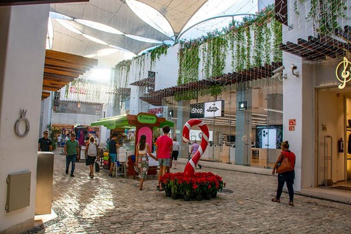 Place Paseo del Carmen Shopping Mall