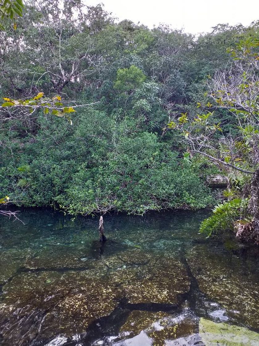 Lugar Cenote Azul