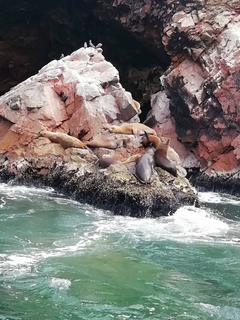 Place Islas Ballestas