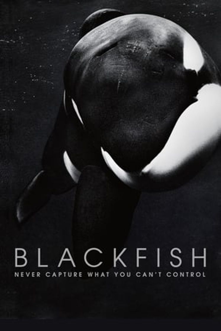 Movie Blackfish