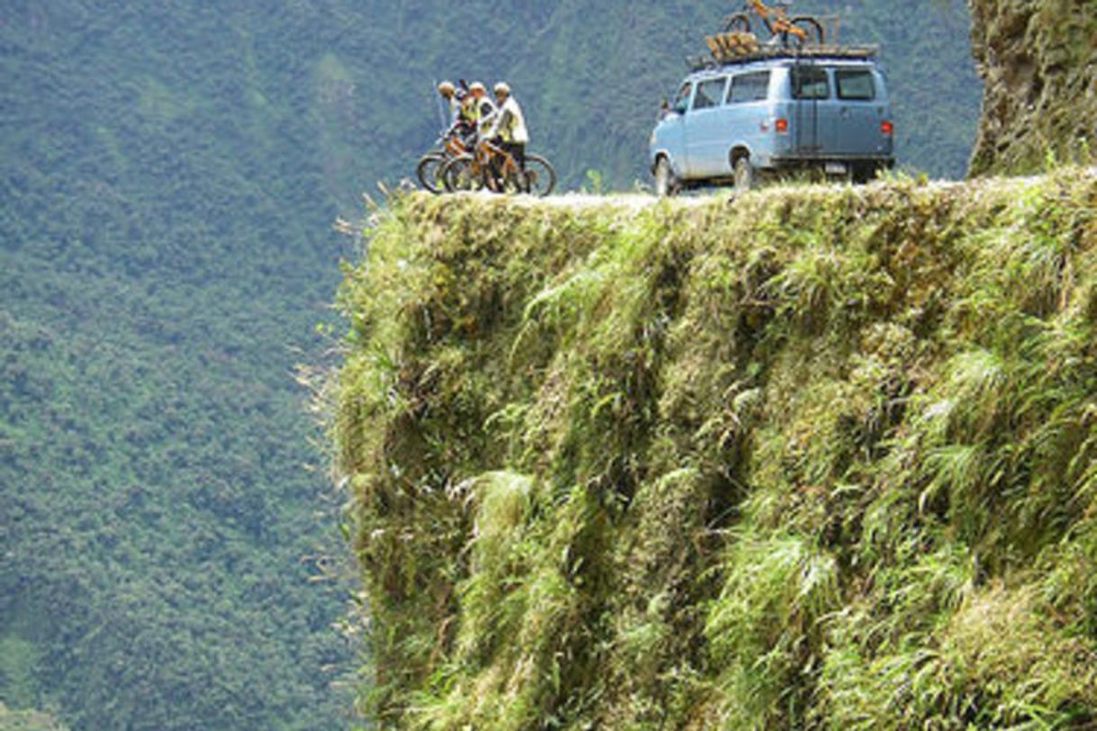 Lugar Yungas