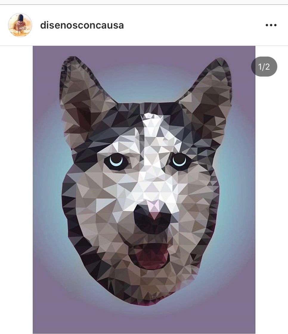 Diseños con causa 
