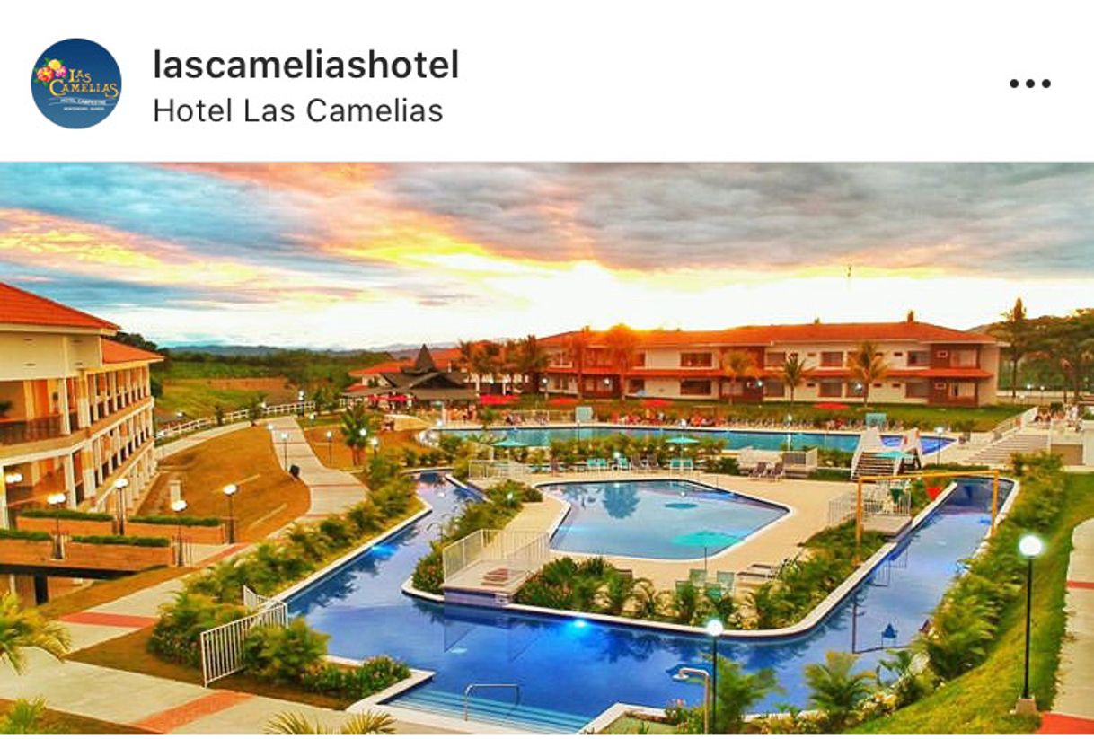 Hotel Campestre las Camelias