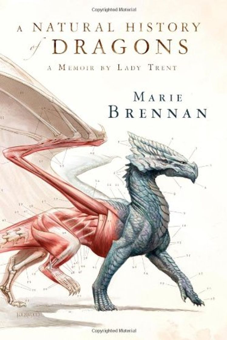 Libro A Natural History of Dragons: A Memoir by Lady Trent