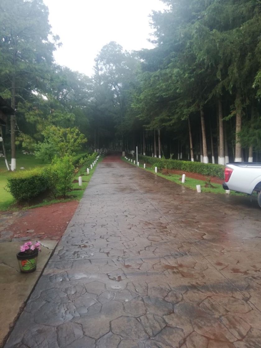 Place El Ocotal