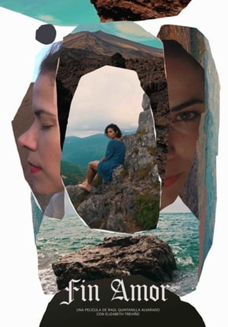 Movie Fin Amor