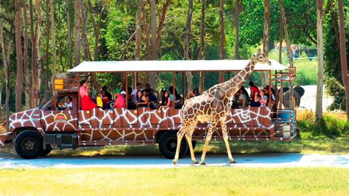 Place Zoológico Guadalara 