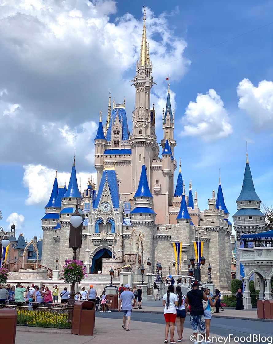 Lugar Walt Disney World