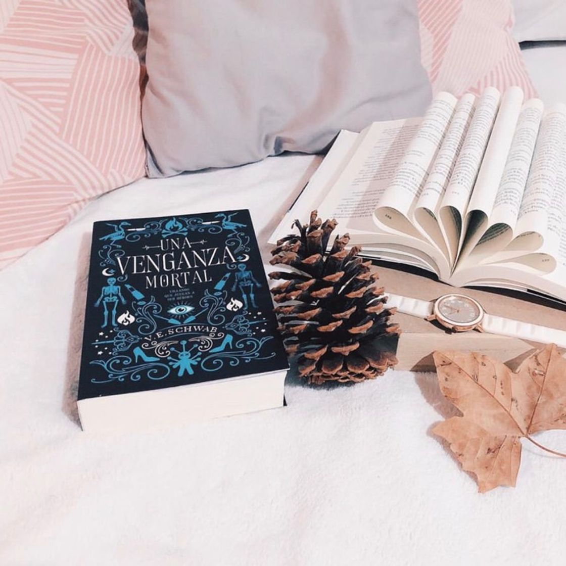 Book Una venganza mortal - Victoria Schwab 