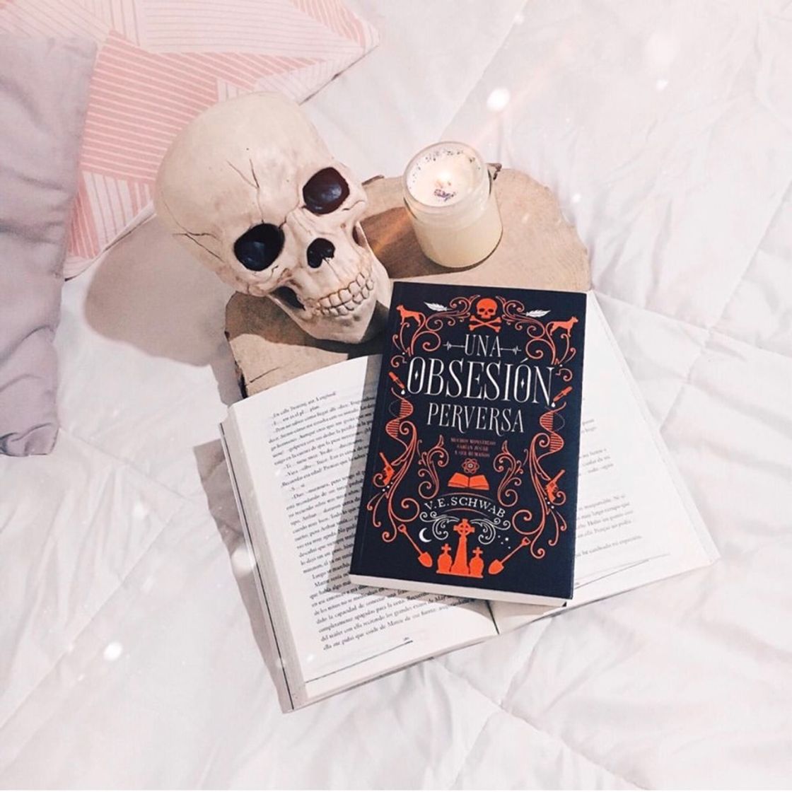 Book Una obsesión perversa - Victoria Schwab 