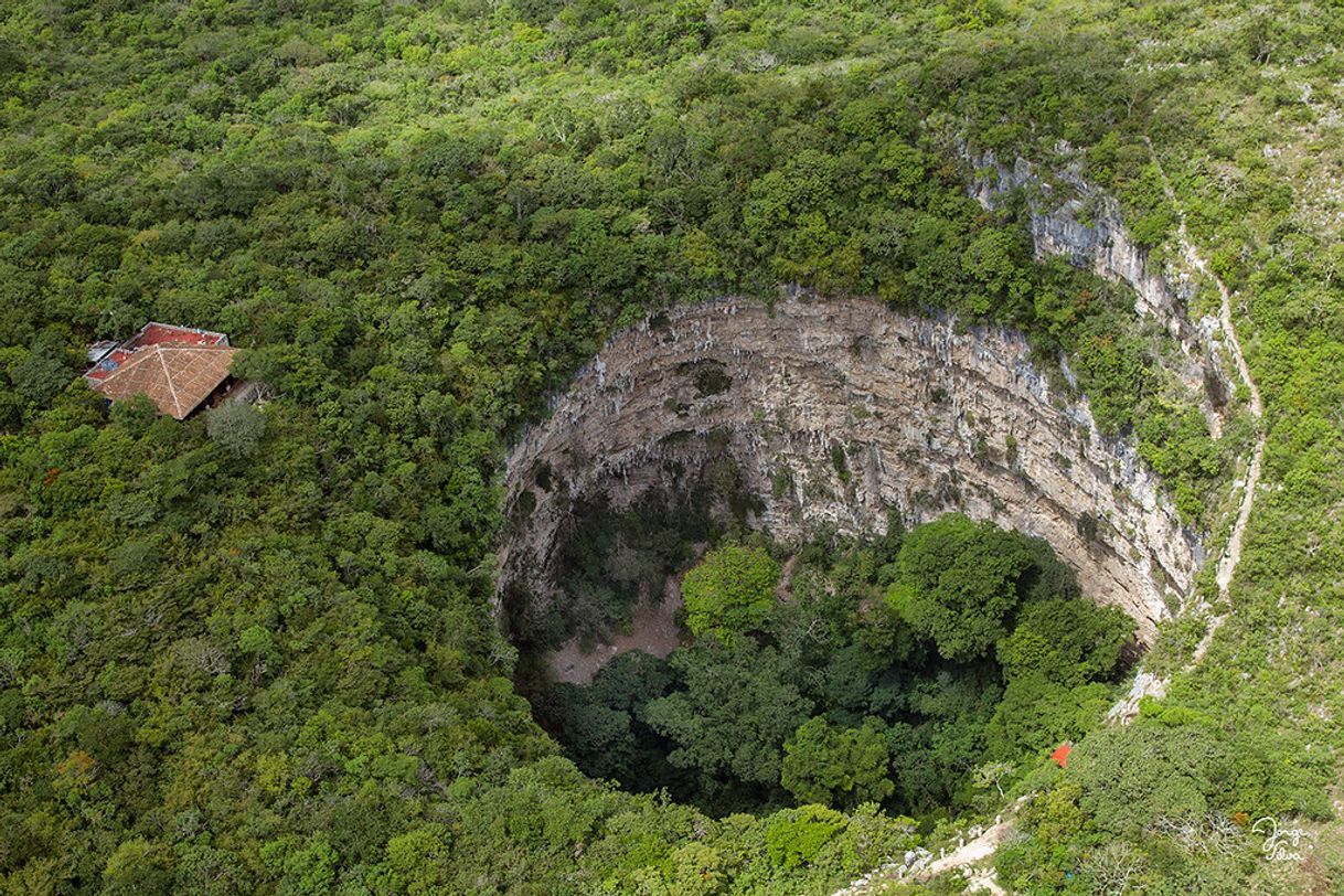 Lugares Sima de las Cotorras