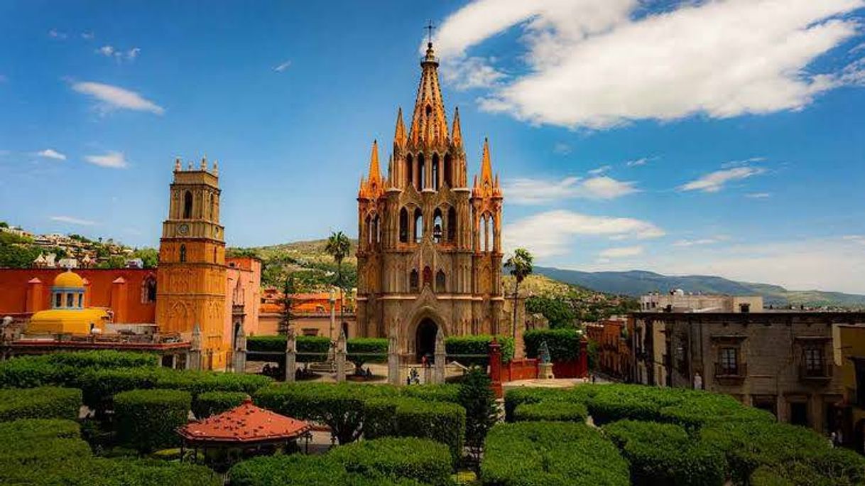 Place San Miguel de Allende