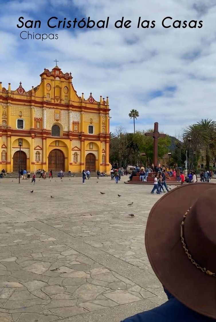 Lugar San Cristóbal de las Casas Centro