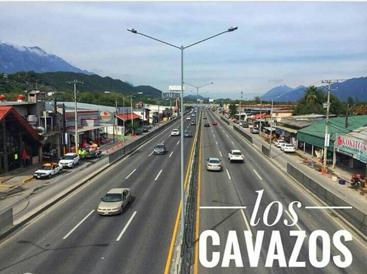 Place Los Cavazos