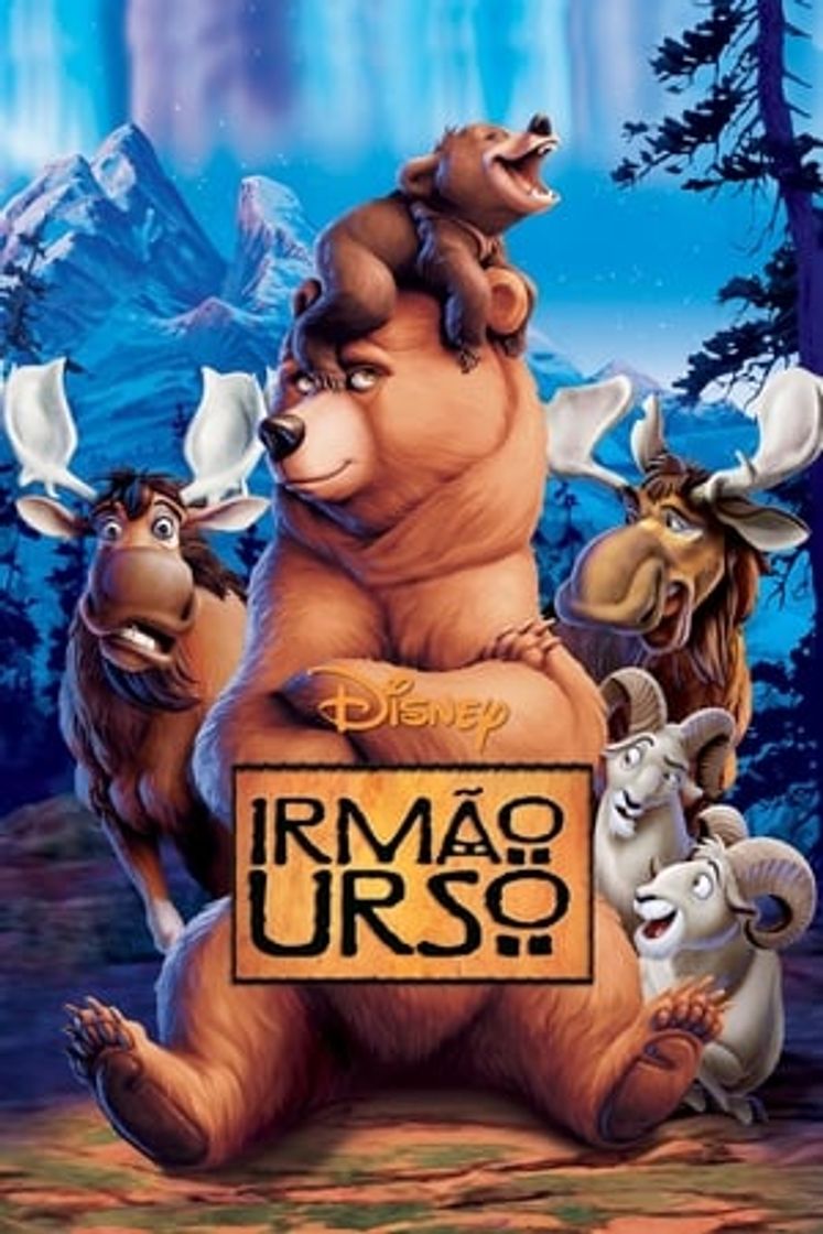 Película Hermano oso