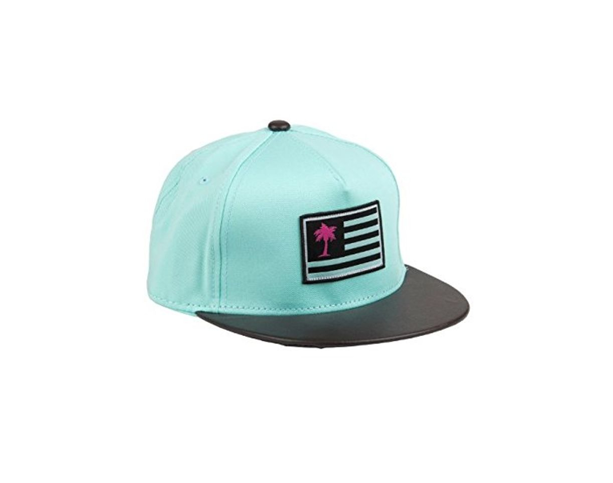 Social Neff Paradise Gorra Ice, Paradise Cap, Ice, FR :