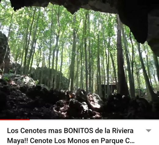 Hermoso Cenote, Video de 34 seg Miralo y yo vere tus trailes