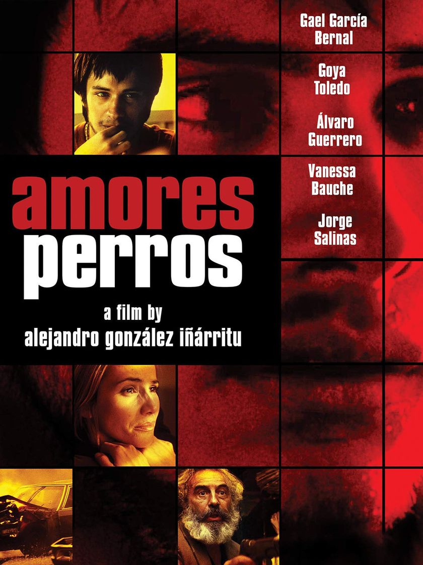 Película Amores perros