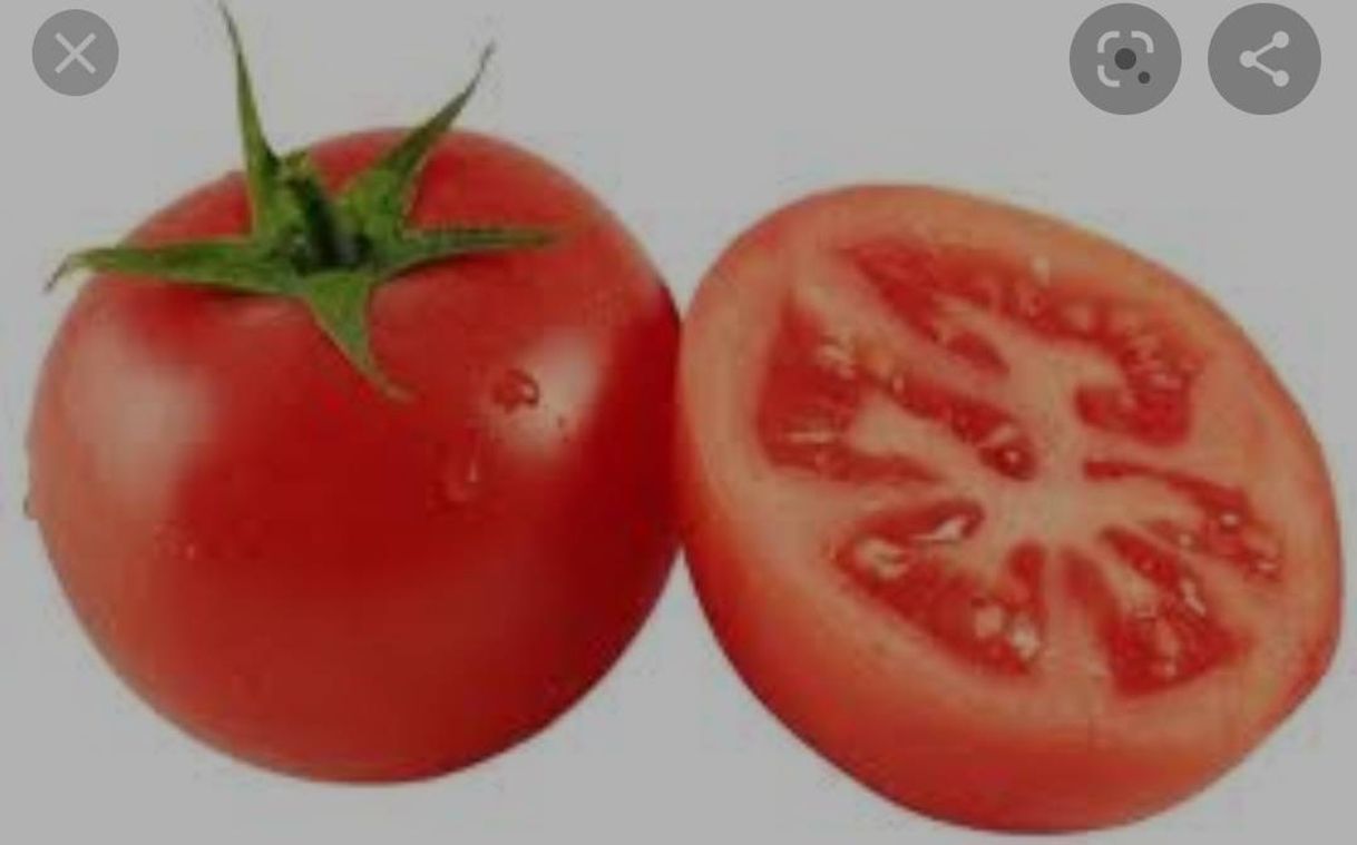 Fashion UN TOMATE A QUIEN NO LE GUSTA EL  TOMATE ?