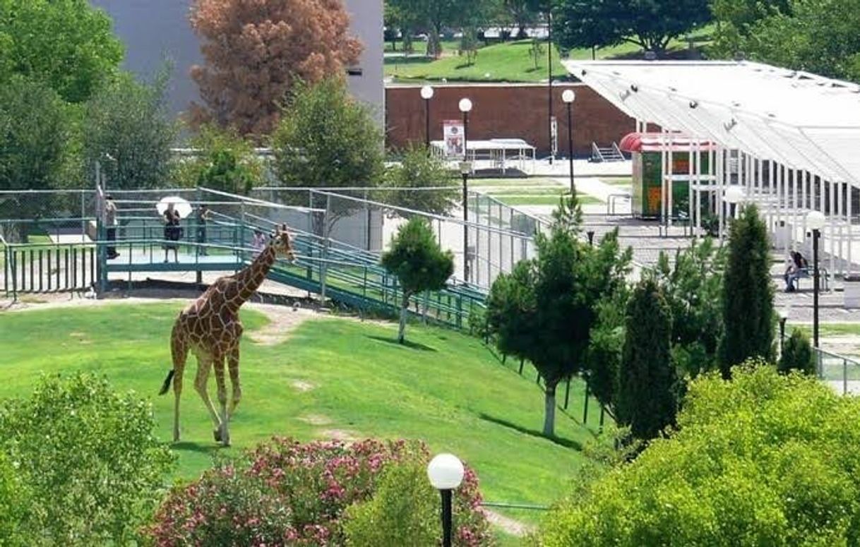 Place Parque Central