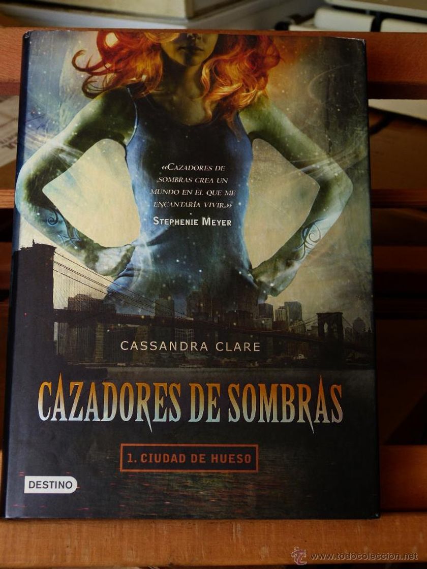 Book Cazadores de sombras 1