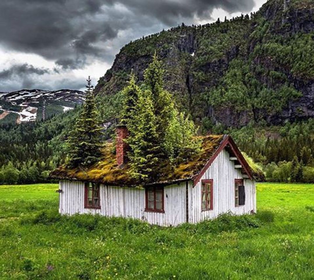 Place Hemsedal