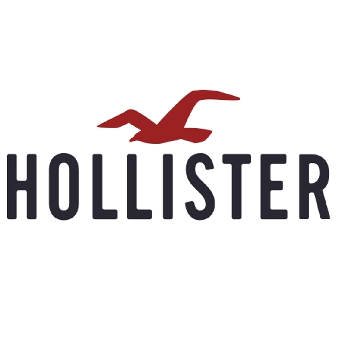 Fashion Hollister Co.